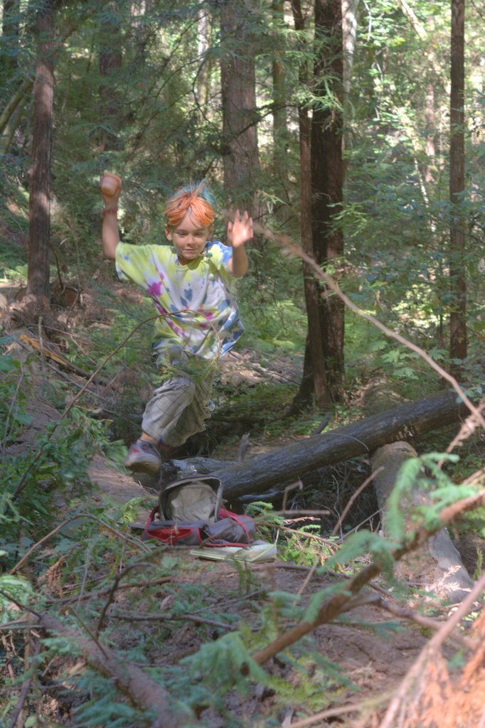 Child running through forest