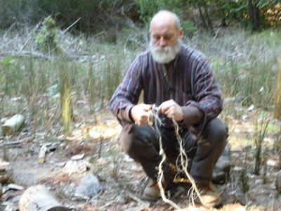making the soap-root cordage