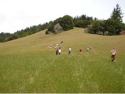 preteen play on a hill